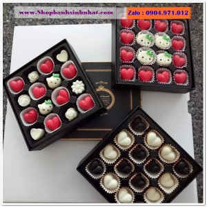 Hộp Quà Socola - SCO31